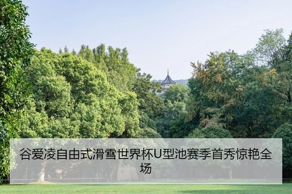 谷爱凌自由式滑雪世界杯U型池赛季首秀惊艳全场