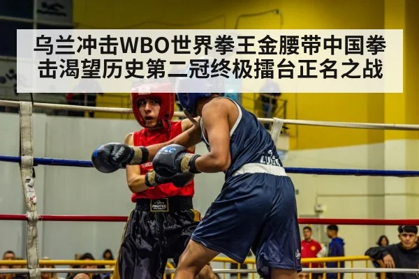 乌兰冲击WBO世界拳王金腰带中国拳击渴望历史第二冠终极擂台正名之战