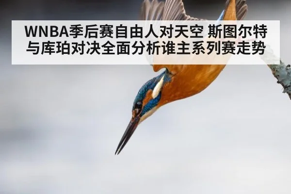 WNBA季后赛自由人对天空 斯图尔特与库珀对决全面分析谁主系列赛走势